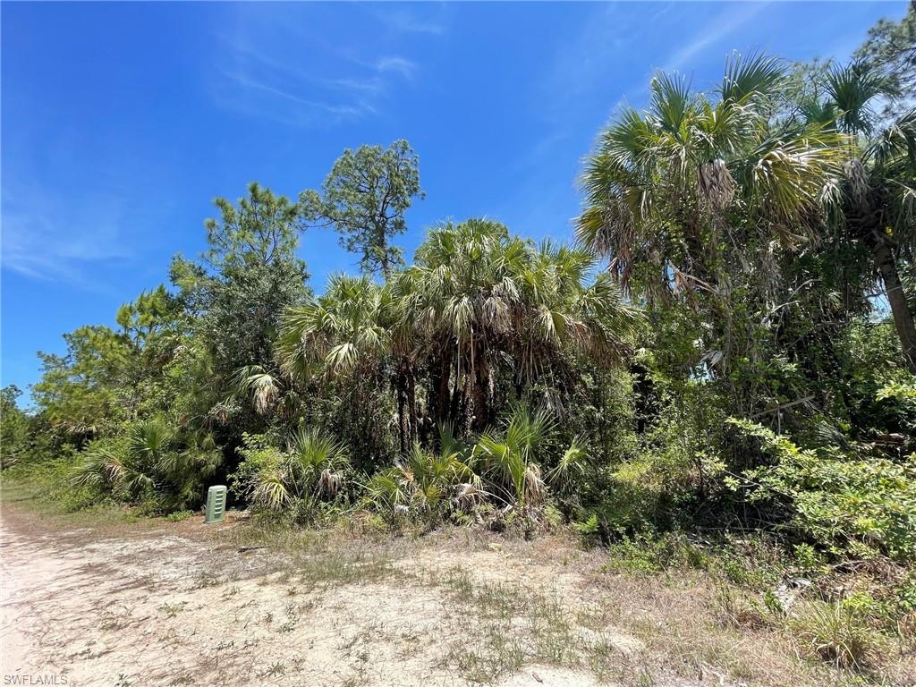 GOLDEN GATE ESTATES - Land