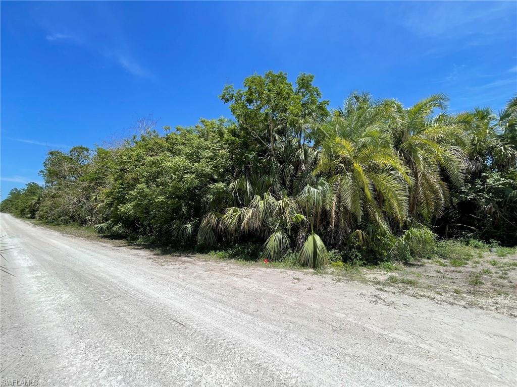 GOLDEN GATE ESTATES - Land