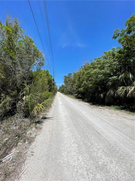 GOLDEN GATE ESTATES - Land