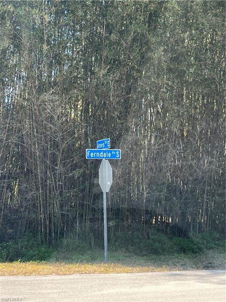 PRICE REDUCED!! Attention New Home Buyers, Builders and Investors!! This residential lot is located on an established paved road surrounded by well-maintained homes and newly built homes, ensuring a sense of pride and stability.  Tucked away yet convenient access to SR 82, I-75, RSW Airport, local schools, shopping, and all other modern conveniences, making everyday living a breeze. Don’t miss out on the chance to be part of this thriving community! Price reduced for mittigation.  AGENTS SEE REMARKS.