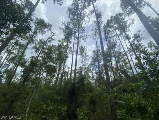 GOLDEN GATE ESTATES - Land