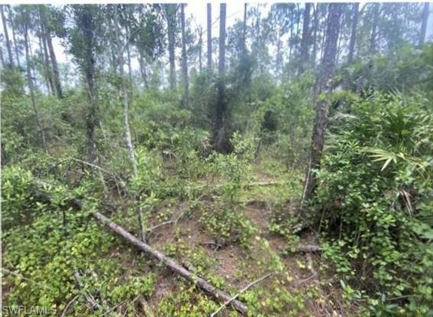 2.27 Acres - 125 x 662  Uplands    Wetlands Report available.  Paved road with lots of new homes being built.  Utilities available.  Privacy at the end of the Avenue.  New shopping center being constructed near by.  Close to Collier Blvd, Lot next door on the canal is also available.