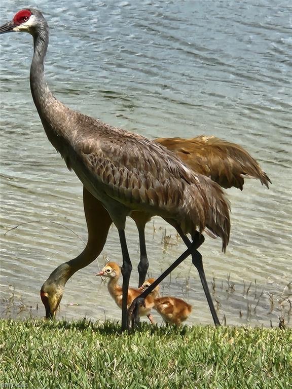 TUSCANY VILLAS - Residential