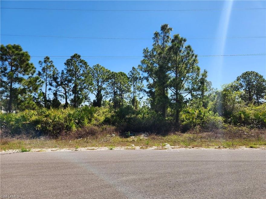 This great homesite in Lehigh Acres is located with easy access to SR82 to provide access to all the area's amenities. The seller also owns the lot next door at 1015 Elgin Street, which is also for sale if you are interested in a half-acre building site.