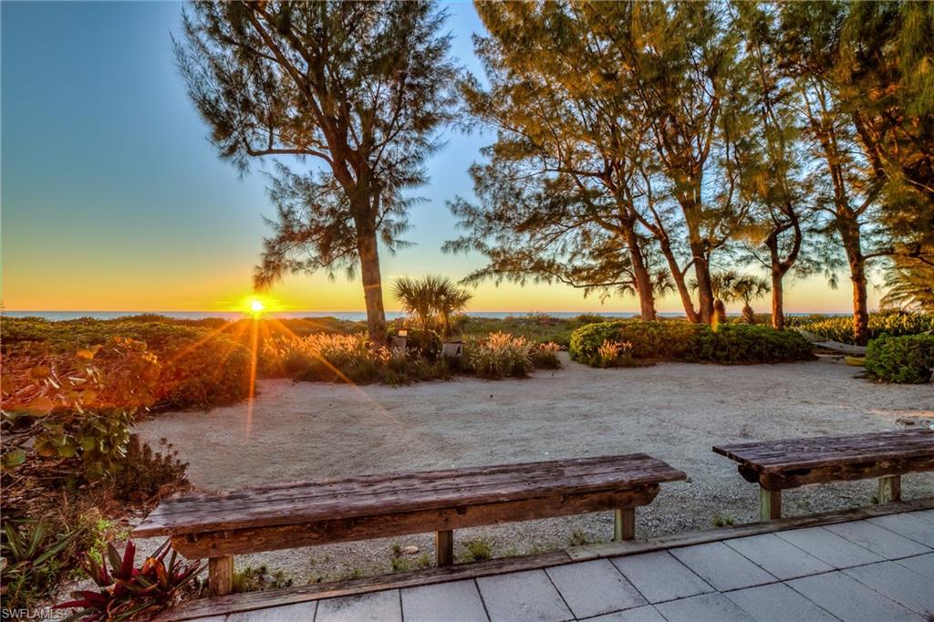 TICHENORS F H SILVER KING - Residential