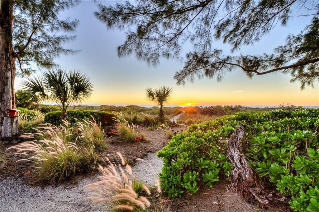 TICHENORS F H SILVER KING - Residential