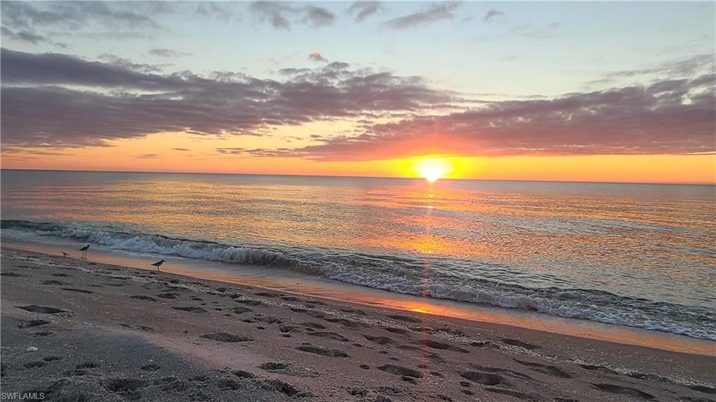 TICHENORS F H SILVER KING - Residential