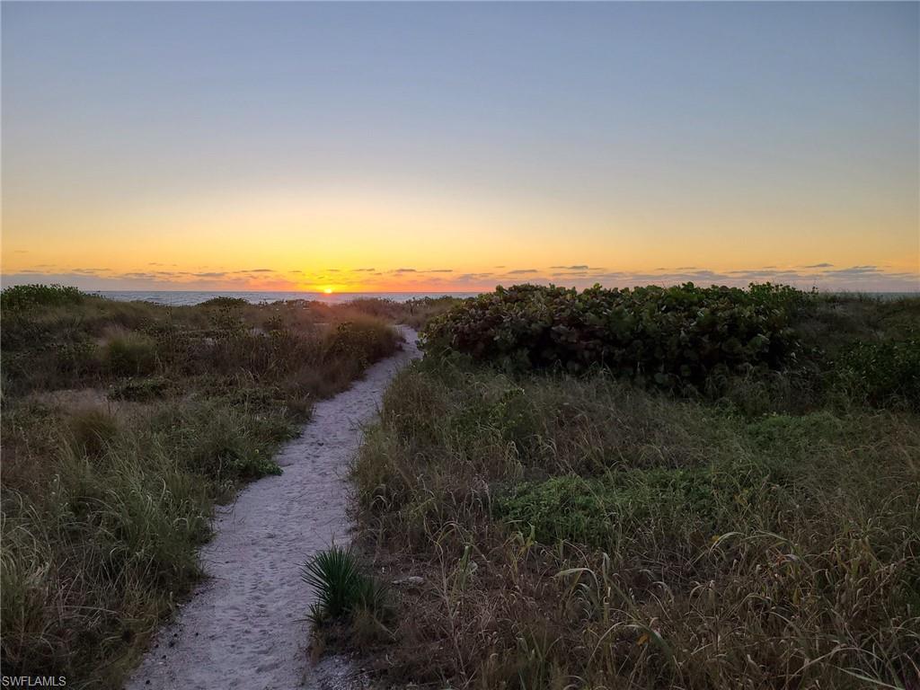 TICHENORS F H SILVER KING - Residential