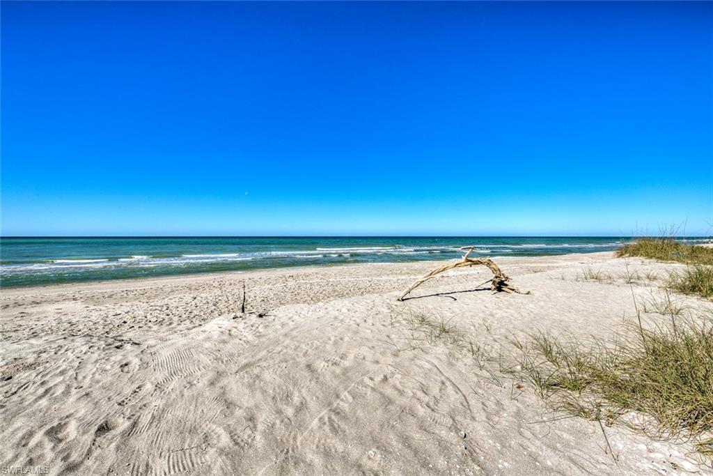 TICHENORS F H SILVER KING - Residential