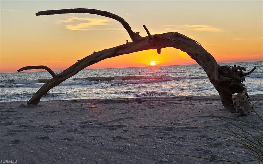 TICHENORS F H SILVER KING - Residential