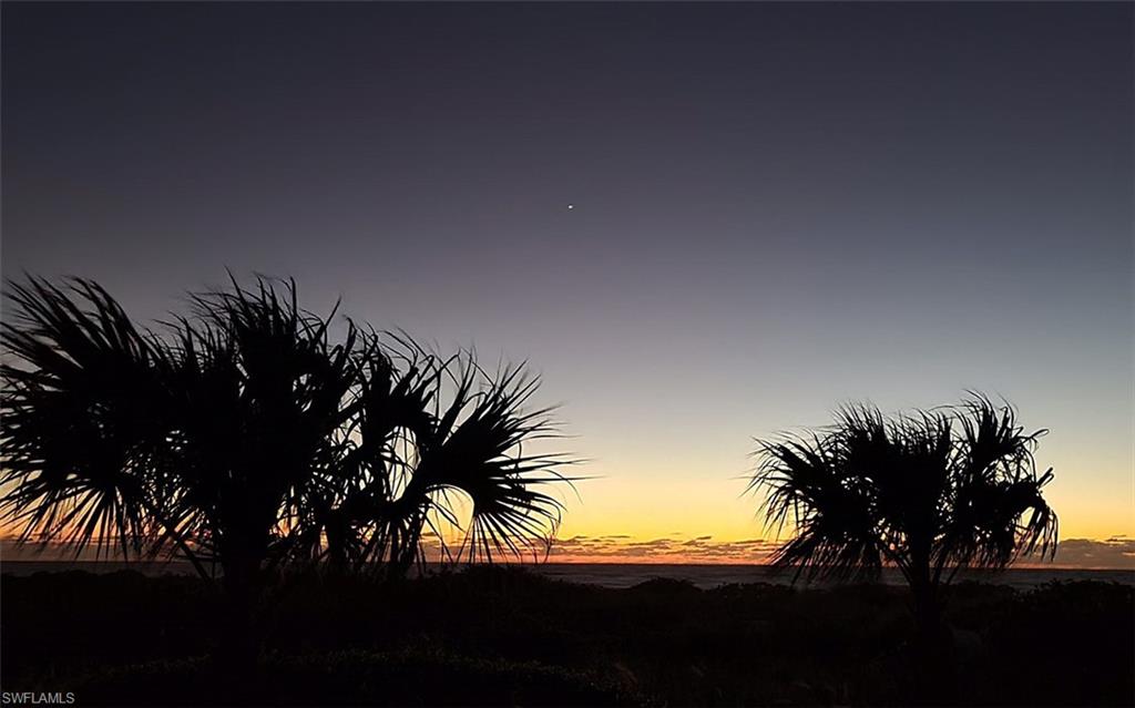 TICHENORS F H SILVER KING - Residential