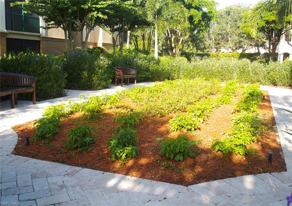 SAN MIRAGE - Residential