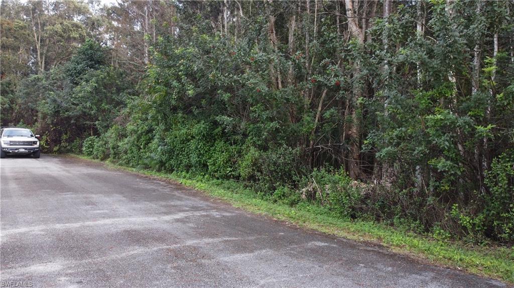 FLORIMOND MANOR - Land