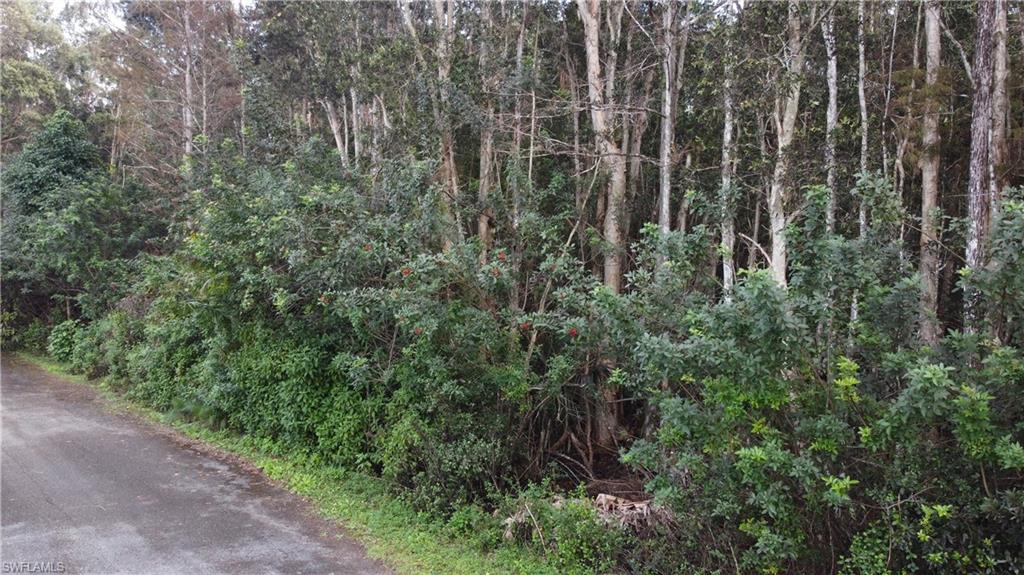 FLORIMOND MANOR - Land