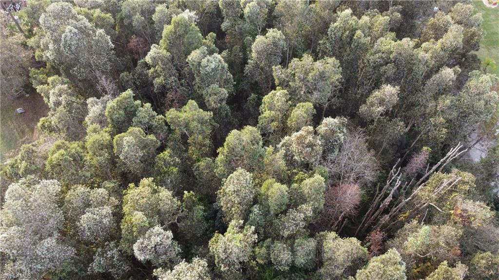 FLORIMOND MANOR - Land