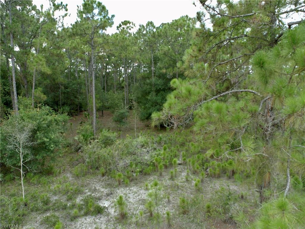 PIONEER PLANTATION - Land