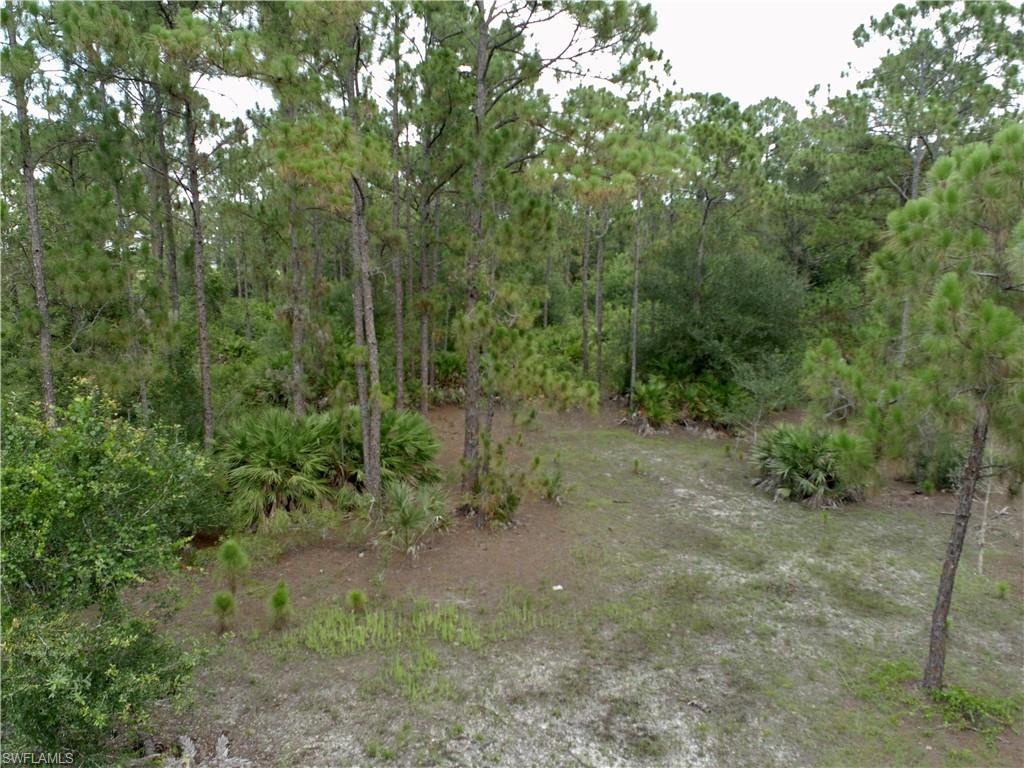 PIONEER PLANTATION - Land