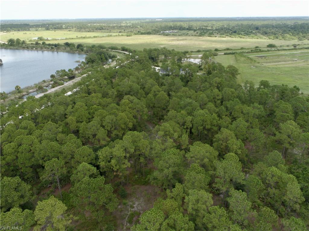 PIONEER PLANTATION - Land