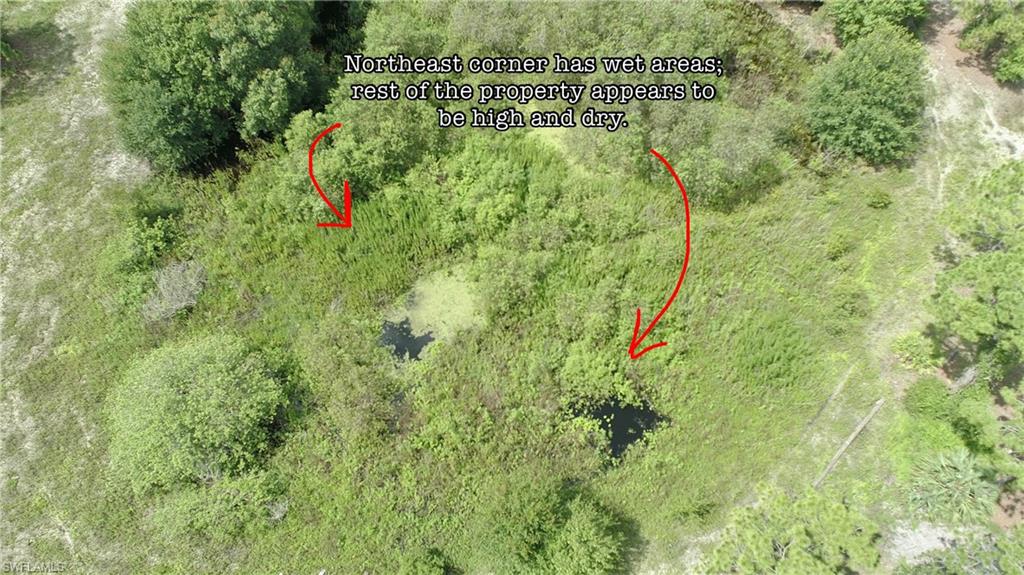 PIONEER PLANTATION - Land