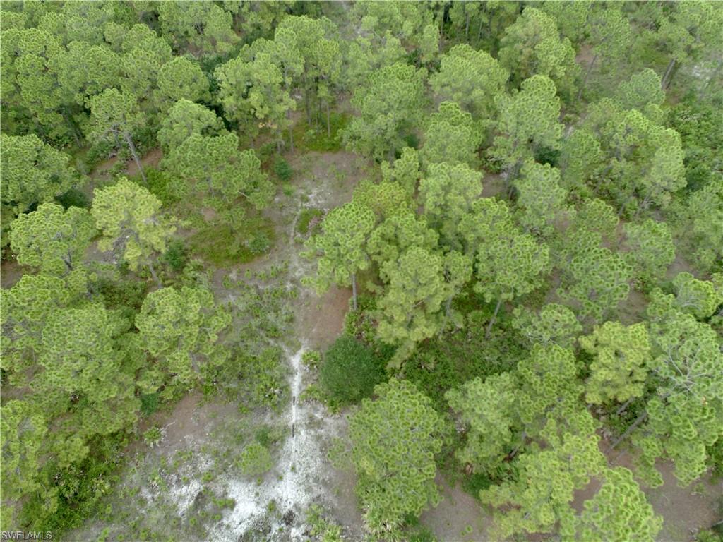 PIONEER PLANTATION - Land