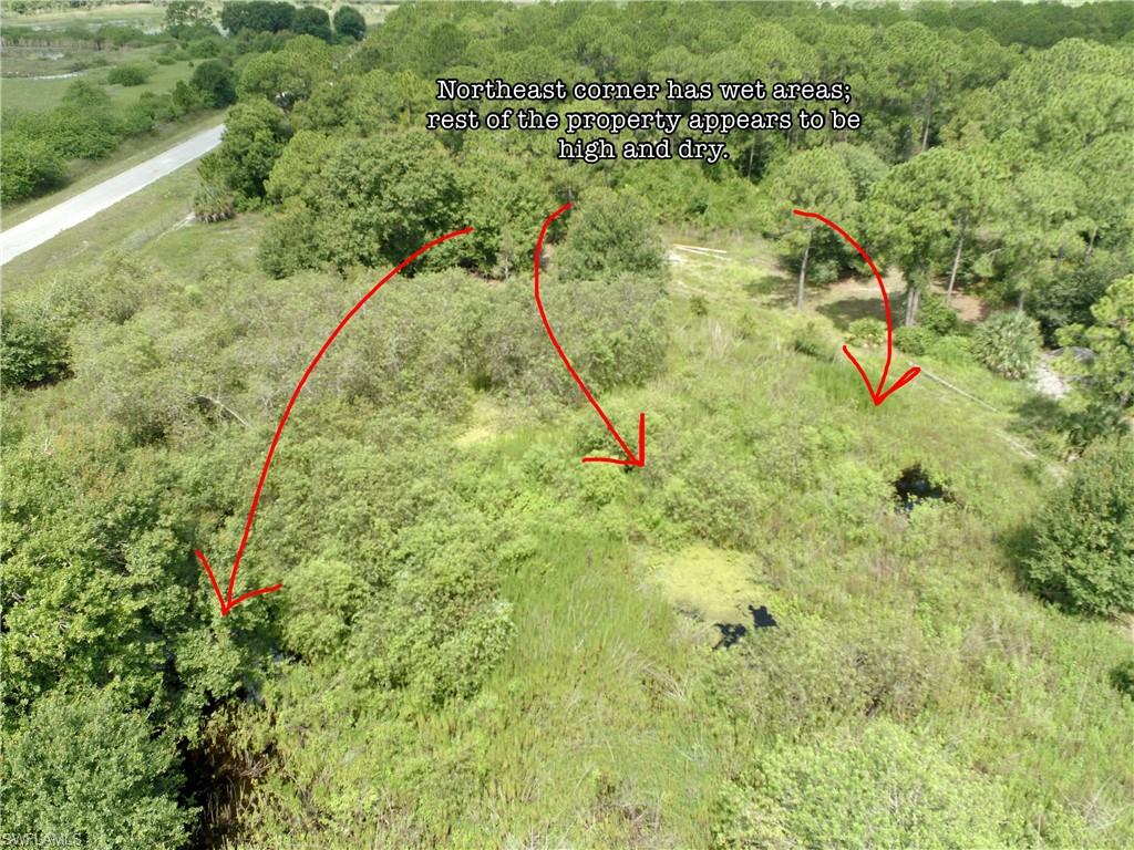 PIONEER PLANTATION - Land