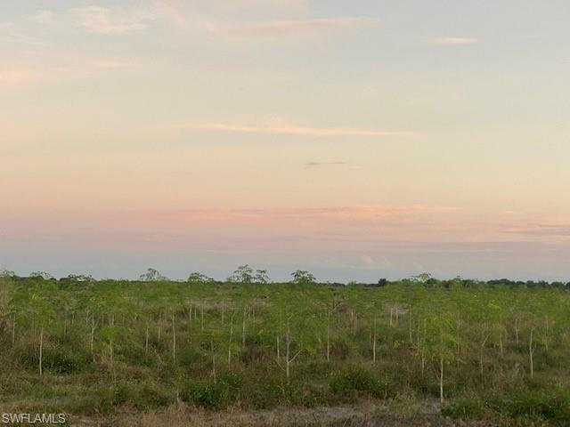 GERBER GROVES SEC 1 - Land