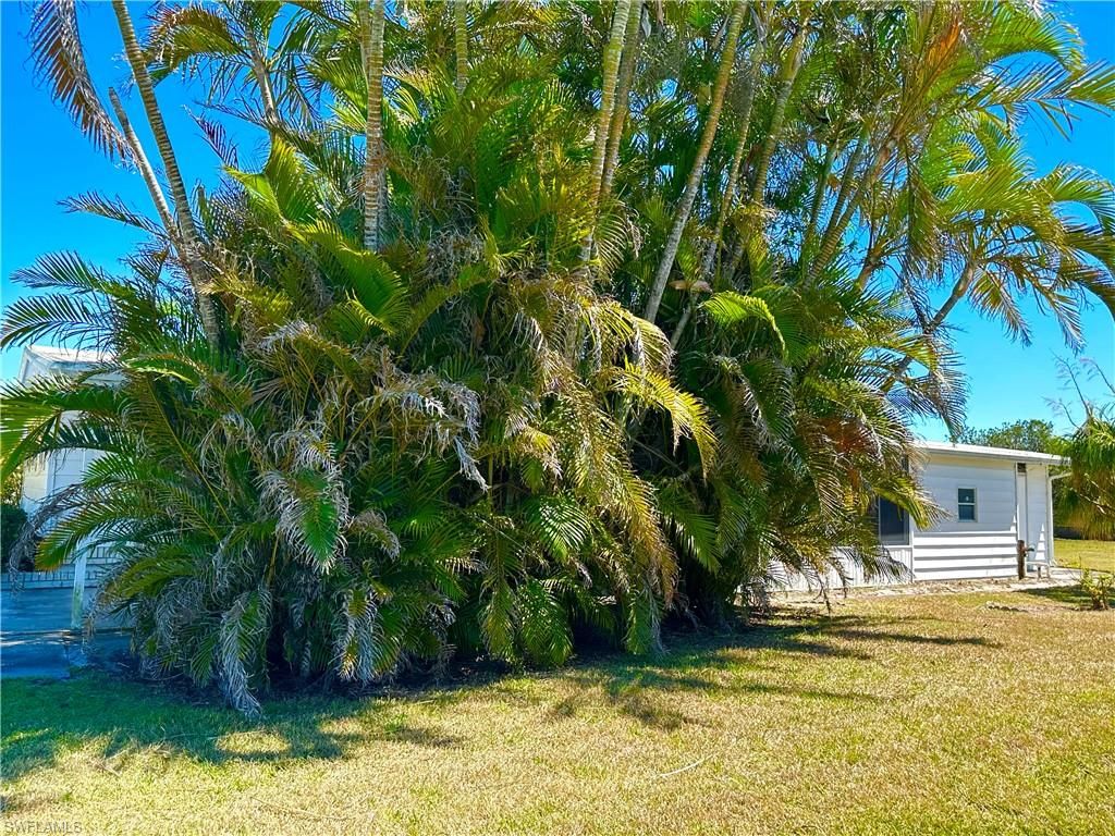 listing image 30