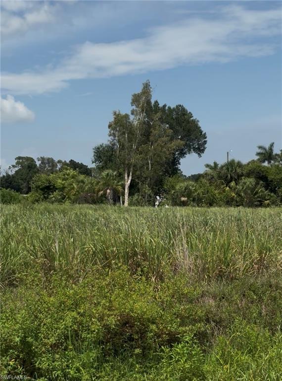 NORTH FORT MYERS - Land