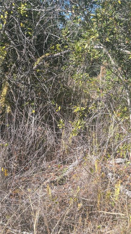 PORT CHARLOTTE - Land