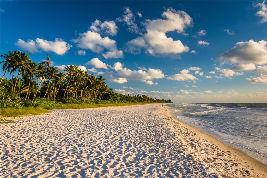 BRIARWOOD - Residential Lease