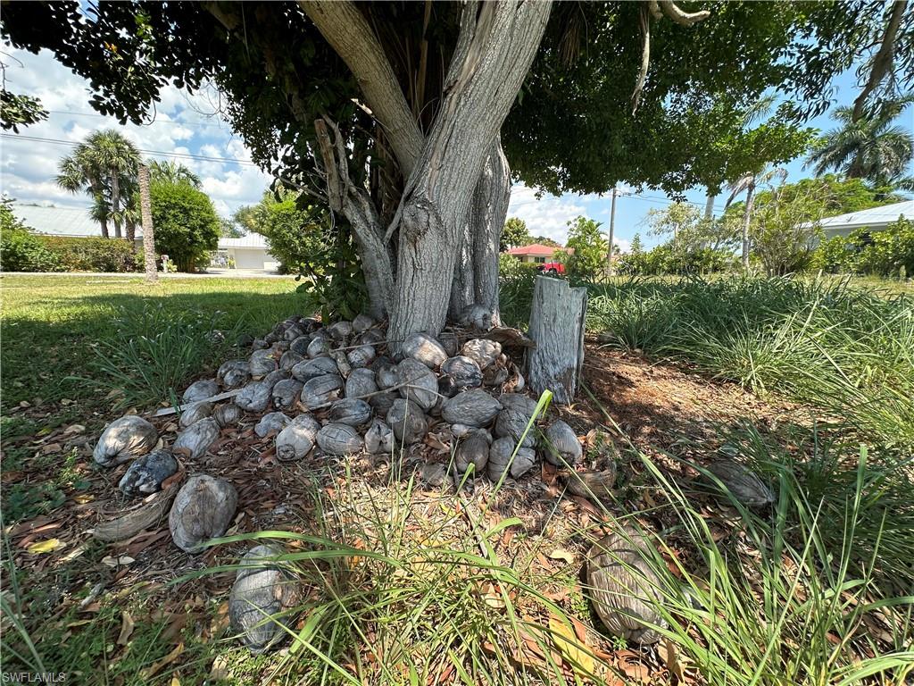 KNIGHTS BOKEELIA ISLE - Land