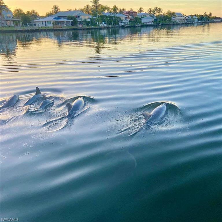 HOLIDAY SHORES - Land