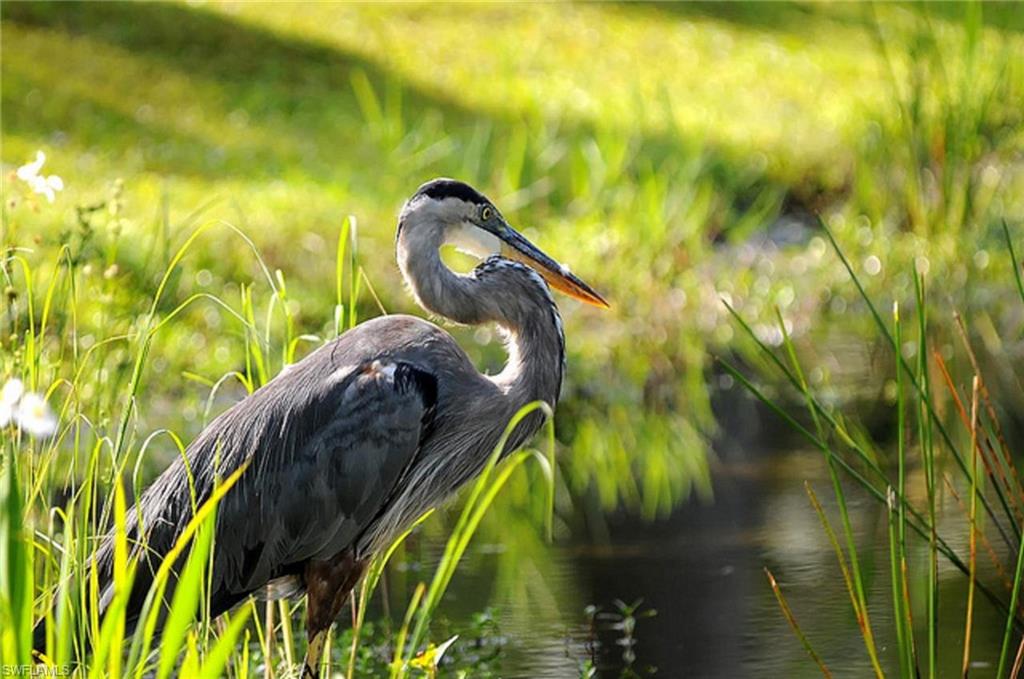 BURNT STORE LAKES - Residential