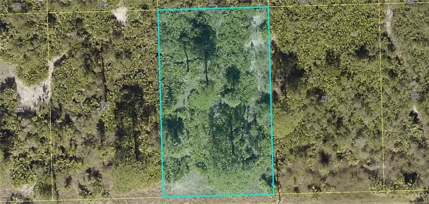 Nice building lot in North Lehigh Acres. Located off Sunshine Blvd. Short drive to shopping and dining. Many new homes are being built. Great time to invest in sunny Southwest Florida!