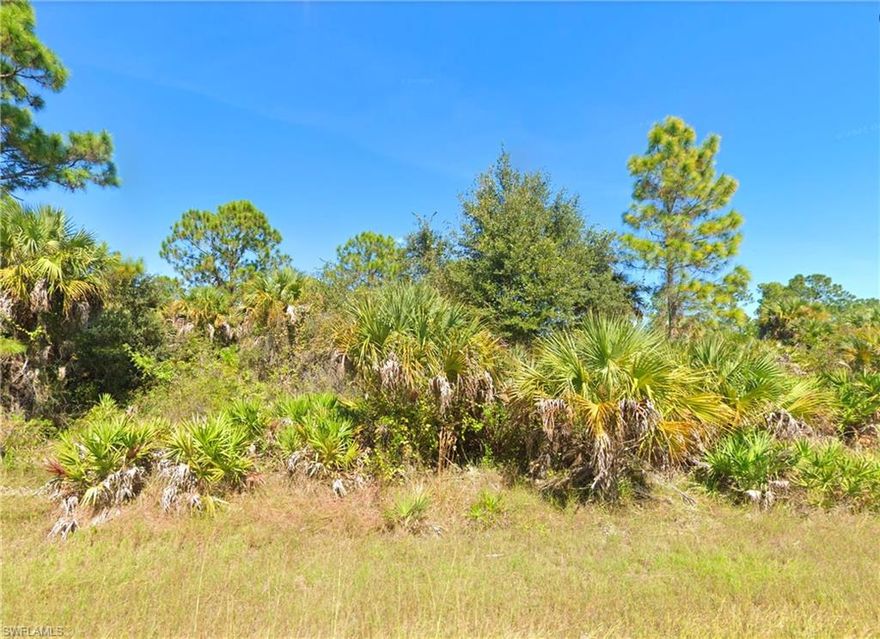 Privacy and potential with a motivated price tag! Oversized lot in Flood Zone X, offering peace of mind and room to spread out. Enjoy a quiet, rural setting for single-family living, while still being close to outdoor recreation. Located near the Caloosahatchee River for boating and fishing, Alva Community Park, and Hickey Creek Mitigation Park with scenic trails and wildlife. You get the perks of Alva while being close to growing Lehigh Acres. A great opportunity to build or invest in a growing area of Alva!