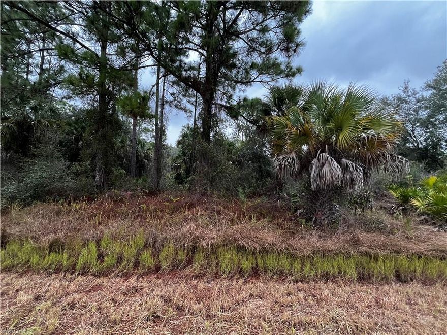 Privacy and potential with a motivated price tag! Oversized lot in Flood Zone X, offering peace of mind and room to spread out. Enjoy a quiet, rural setting for single-family living, while still being close to outdoor recreation. Located near the Caloosahatchee River for boating and fishing, Alva Community Park, and Hickey Creek Mitigation Park with scenic trails and wildlife. You get the perks of Alva while being close to growing Lehigh Acres. A great opportunity to build or invest in a growing area of Alva!