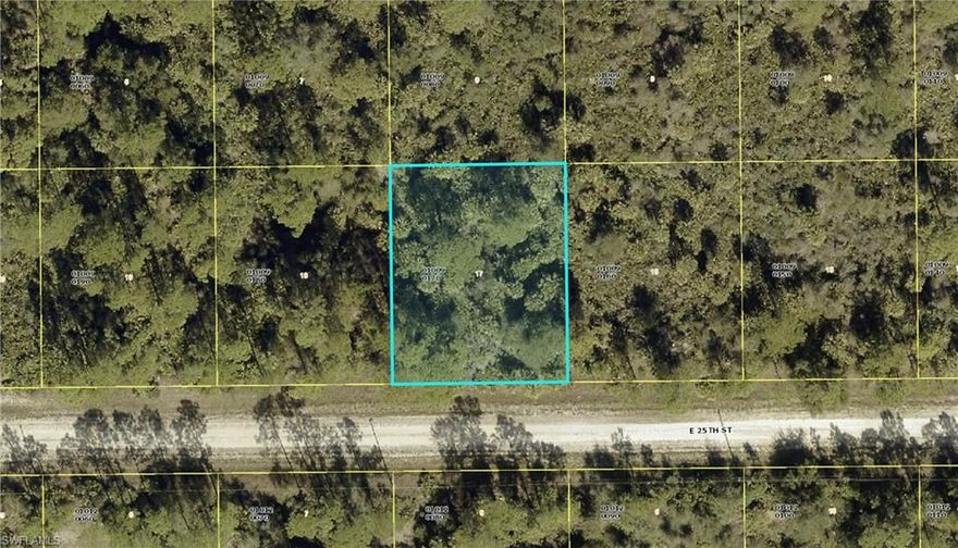 Privacy and potential with a motivated price tag! Oversized lot in Flood Zone X, offering peace of mind and room to spread out. Enjoy a quiet, rural setting for single-family living, while still being close to outdoor recreation. Located near the Caloosahatchee River for boating and fishing, Alva Community Park, and Hickey Creek Mitigation Park with scenic trails and wildlife. You get the perks of Alva while being close to growing Lehigh Acres. A great opportunity to build or invest in a growing area of Alva!