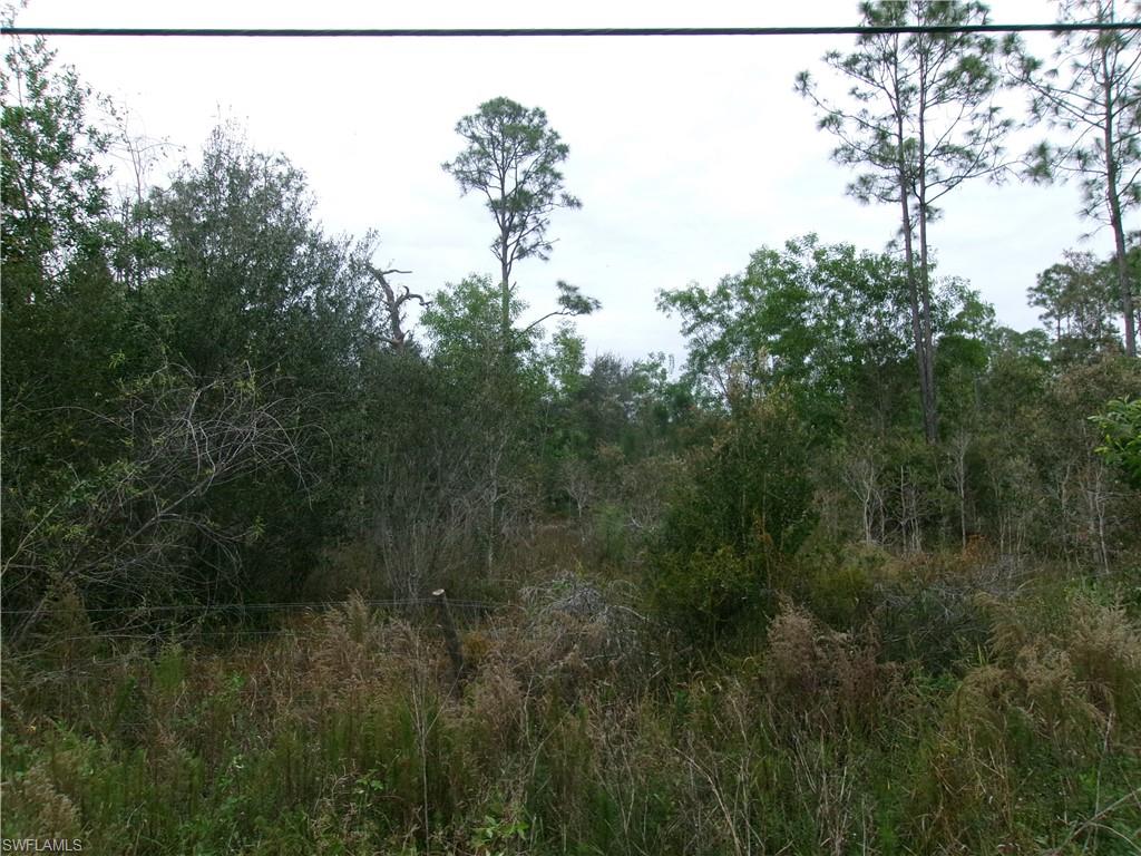 FORT MYERS - Commercial Sale