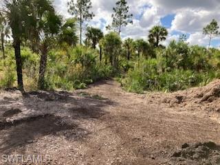 ACREAGE HEADER - Land