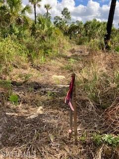 ACREAGE HEADER - Land