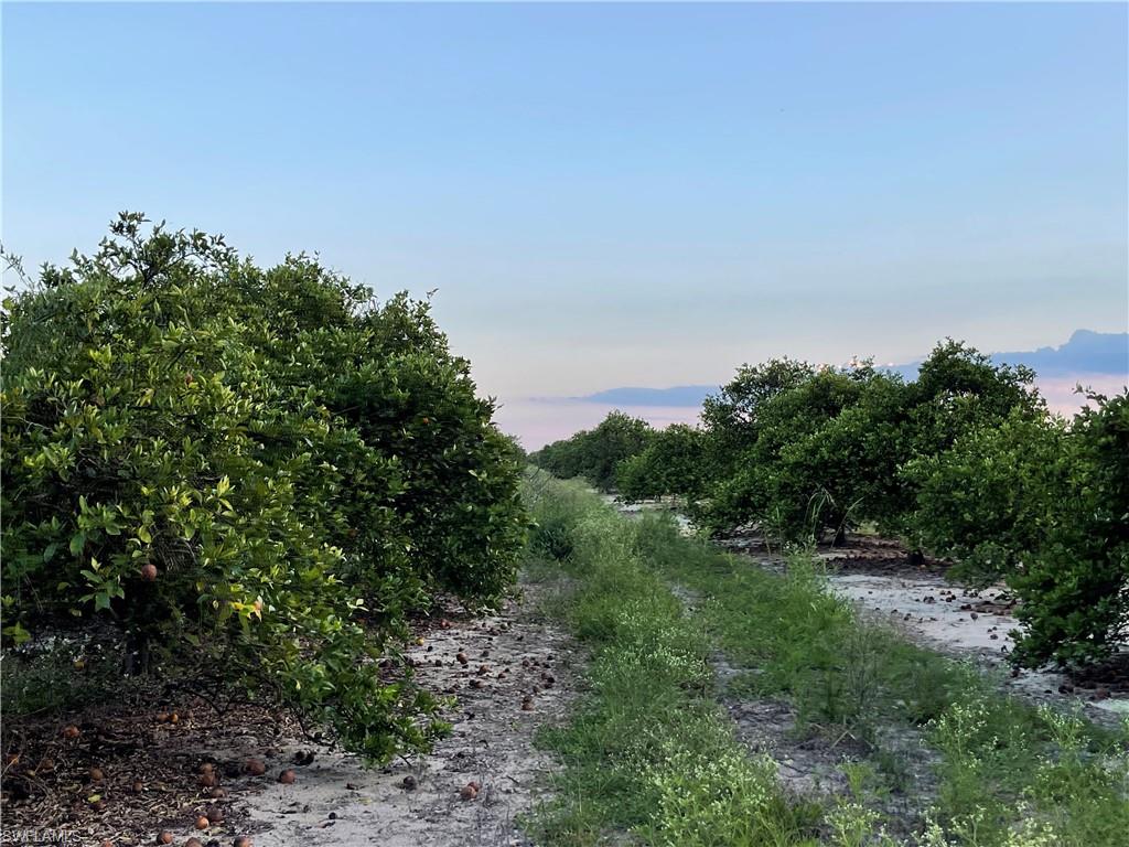 GERBER GROVES SEC 1 - Land