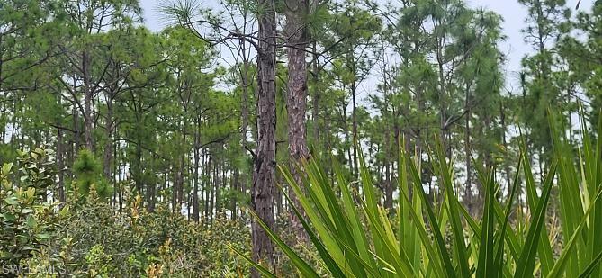 TROPICAL GULF ACRES - Land