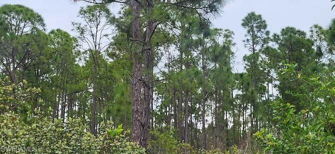 TROPICAL GULF ACRES - Land