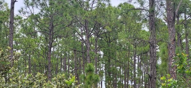 TROPICAL GULF ACRES - Land