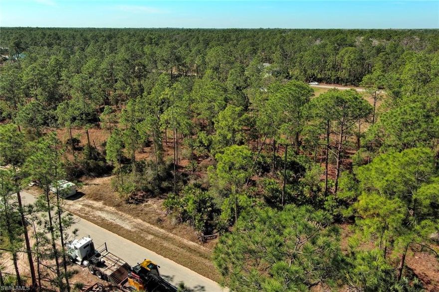 Great location for a 0.50-acre residential lot in a prime North Lehigh Acres location within Alva, Florida. This high and dry lot is perfectly positioned for your next development, boasting an elevation outside of flood zones for confident building. Conveniently located near major thoroughfares, such as Joel blvd. Alva, within the larger Lehigh Acres area, is a thriving part of Southwest Florida, known for its beautiful natural surroundings, welcoming atmosphere, and proximity to Fort Myers. Enjoy the tranquility of Alva while still being close to shopping, dining, and the stunning Gulf Coast beaches.