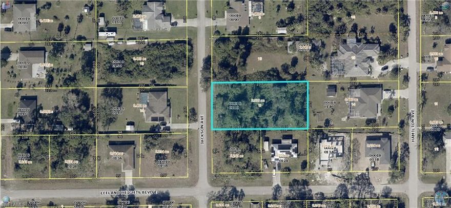 Build your dream home on this quarter acre lot, in this growing community of Lehigh Acres. Easy access to Sr. 82, Daniels Pkwy, Fort Myers Airport, shopping centers, restaurants, churches, schools and the Sandy Beaches of the Gulf Coast. Come and enjoy all that Sunny Southwest Florida has to offer!