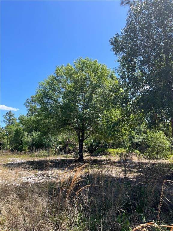 MONTURA RANCH ESTATES - Land