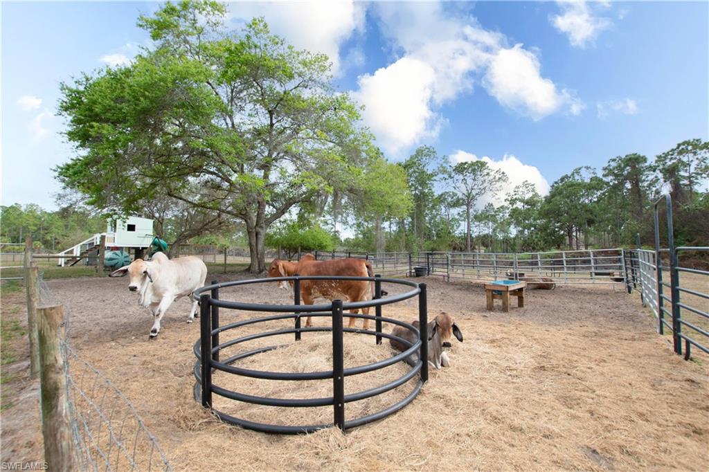 GOLDEN GATE ESTATES - Residential