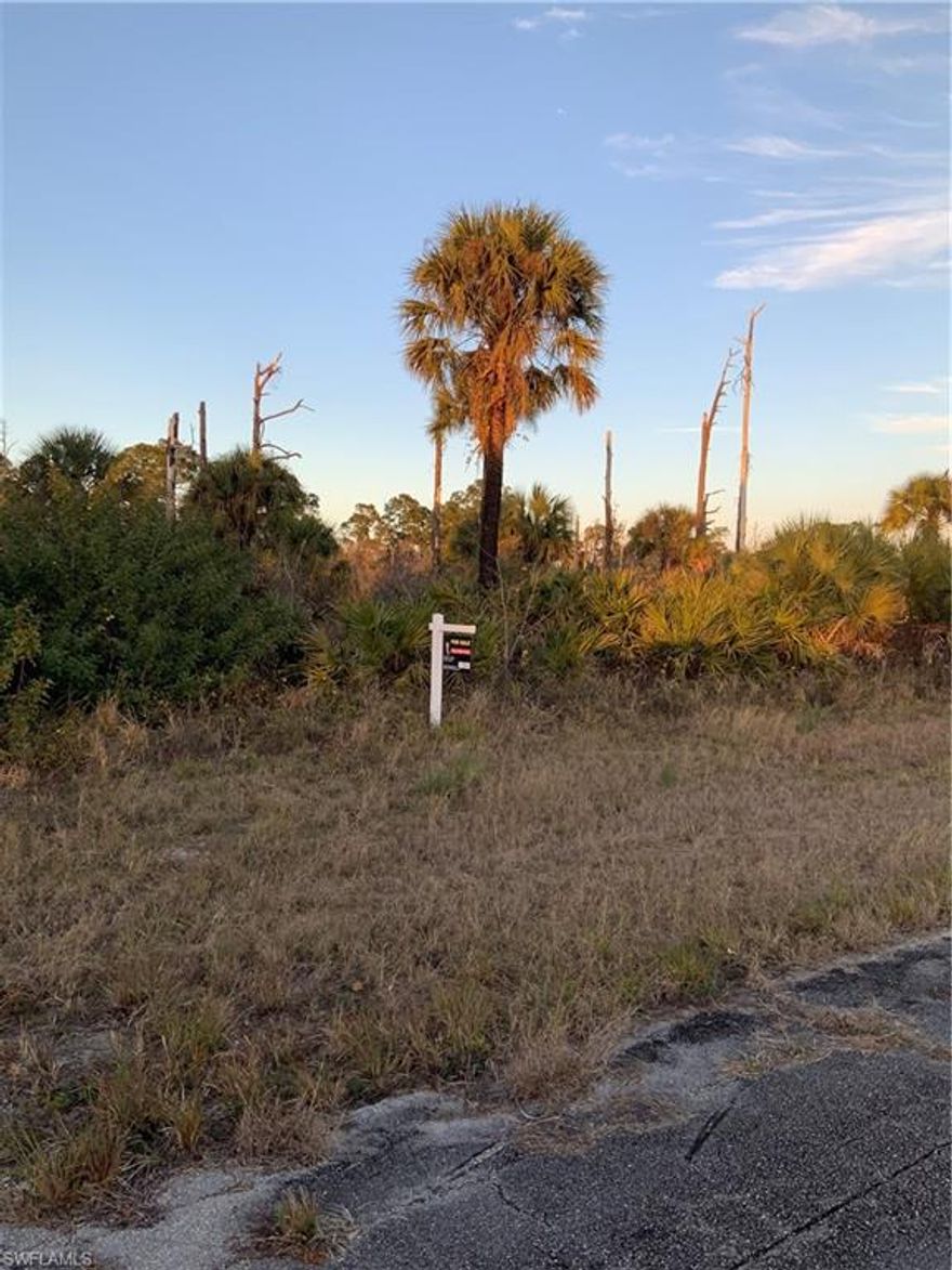 Build your custom home here!  Great investment land in beautiful LaBelle.  Neighborhood has streets and is ready for development. Priced below all other lots in the market.