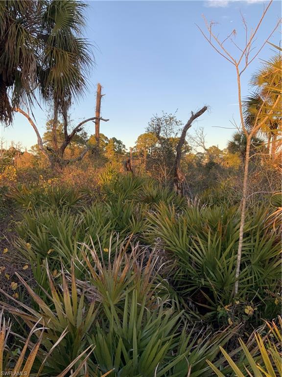 BANYAN VILLAGE - Land
